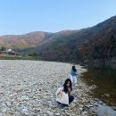 짱구 | 홍천여행: 리버트리 펜션 202호 후기 | 홍천강 리버뷰 숙소 | 개별 야외테라스 | 친구랑 가을 여행