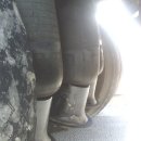 AR모터스 이미지