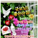 💞 토요일 아침 문안편지 '소금같은 인연' 💞 이미지