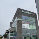 [ 제주 섬나라 오메기떡 ] 제주 기념품 오메기떡 택배 수령 대만족 후기