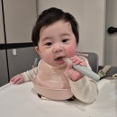 새벽 배송되는 시판 이유식 추천 로하스밀 중기이유식 한우 토핑 후기