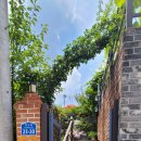 샤론 웰빙 하우스 | 춘천 숙소 에어비앤비 샤론의 집 깨끗하고 편안한 숙박이 좋아