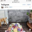 댕스플라워 이미지