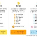 장성황룡강노란꽃잔치 축제장3 이미지