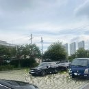 서14-402 | 군산 유명한 중국집 복성루 짬뽕,물짜장,잡채밥 솔직후기 주차 웨이팅