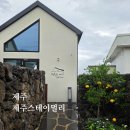 릴스테이 | 제주 협재 가성비 숙소 추천 | 제주도 10만원대 독채 제주스테이멀리 후기