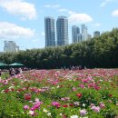 태화강국가정원 이미지