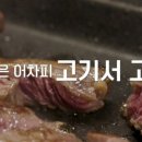 고기서 봐 이미지
