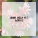 머리하는날 이미지