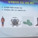 제주감귤농업협동조합중문지점 이미지