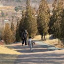 화랑펜션 이미지