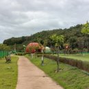 어슬렁대추정원 이미지