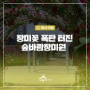 금강수변공원 숲바람장미원 이미지