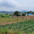 보대농장 이미지