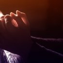 성도목장 이미지