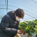 석진농장 이미지