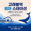 모이자 노컷뉴스