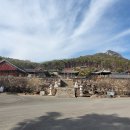 심원사 입구 이미지