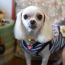 루시펫살롱 이미지