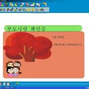 심대현