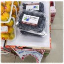 66티에이치 이미지