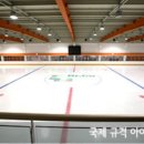 목동아이스링크 네이버블로그