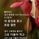 누가복음 16장 19절 밑 성경구절 이미지