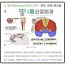 아주 느린 작별 - 정추위 [서부통신경외과] 치매 증상, 치매예방약, 장기요양소견서, 치매진단보완서류