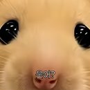 식품영양학 교수가 알려주는 식품알레르기교육 | 졸업생이 알려주는 현실적인 식품공학과 취업과 전망