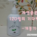 샤보뎅 이미지