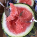 수반농장 이미지