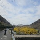 도심건강길 2길 이미지