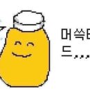 댕며들개 이미지