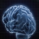 브레인피트니스 이미지