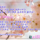 이제;우리 티스토리