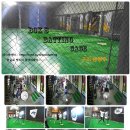실거리 18.44m 진짜 시합구로 배팅 연습 하세여~ 구리 남양주 박스비 배팅센터 입니다 ( 박스비 코치 )(이스턴 코리아 공식 시타장)| 이미지