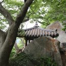죽사