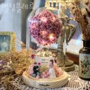 멜팅플레르