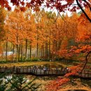 장태산휴양림 이미지