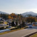 나운리조트숲속동 이미지