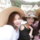 소토보체 이미지