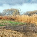 퇴촌점현대자동차 이미지