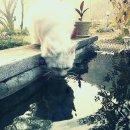 앤의정원 이미지