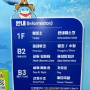 아쿠아리움 이미지