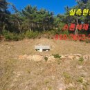 석곡(화산) 이미지