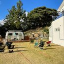 대피소 울릉 이미지