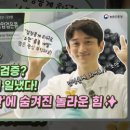 새만금 한우농장 이미지
