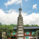 가락유통천년주막 | ‘호리병 속 별천지’로 봄 마실 가던 날 / 손끝에서 길러진 힘 한국의 젓가락질이 특별한 이유 / 사랑...