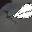 해룡PC 네이버블로그