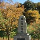 박달재자연휴양림야영장 이미지